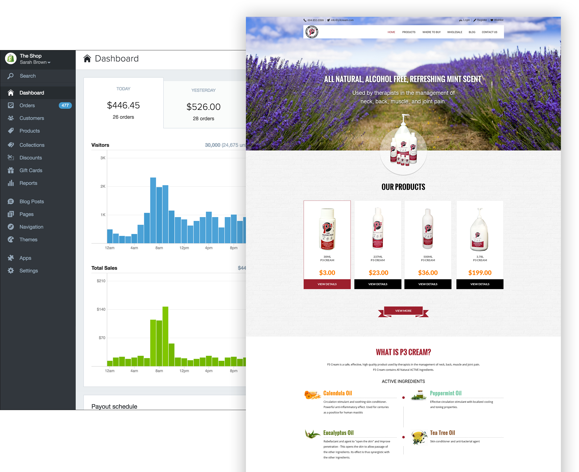 shopify website development shopify website development